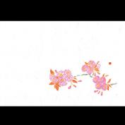 38cm上質紙マット　満開桜 <3,4月>