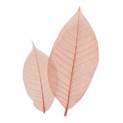 カラースカシ木の葉(赤)<100枚入>(Z1152)