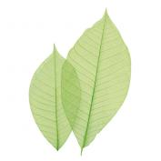 カラースカシ木の葉(緑)〈100枚入〉(Z1152)