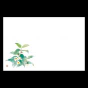 38cm上質紙マット　新お茶の花  (5月)