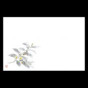 38cm上質紙マット　茶の花 (5月)