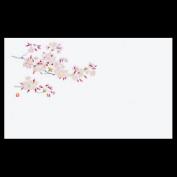 尺5雲竜和紙マット　桜 <3,4月>