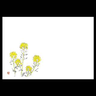尺3雲竜和紙マット  菜の花<3、4月>